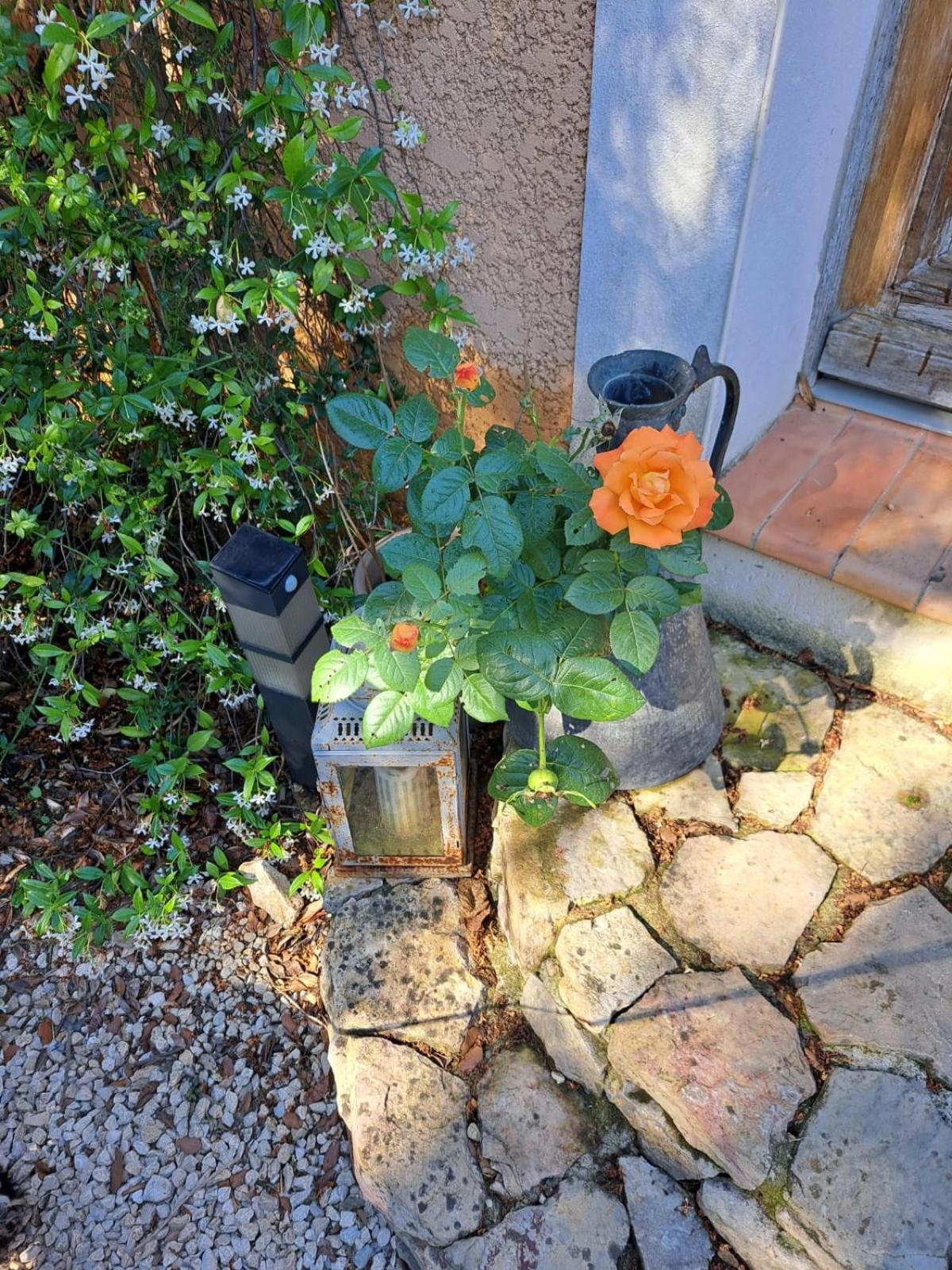 Bed and Breakfast Le Calme De La Garrigue Russan Exteriér fotografie